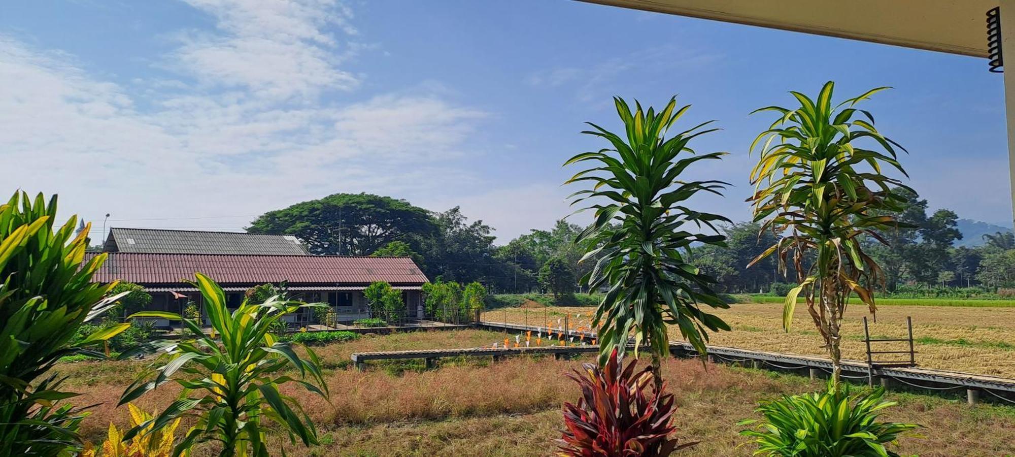 Ban Lom Jen Homestay Chiang Rai Dış mekan fotoğraf