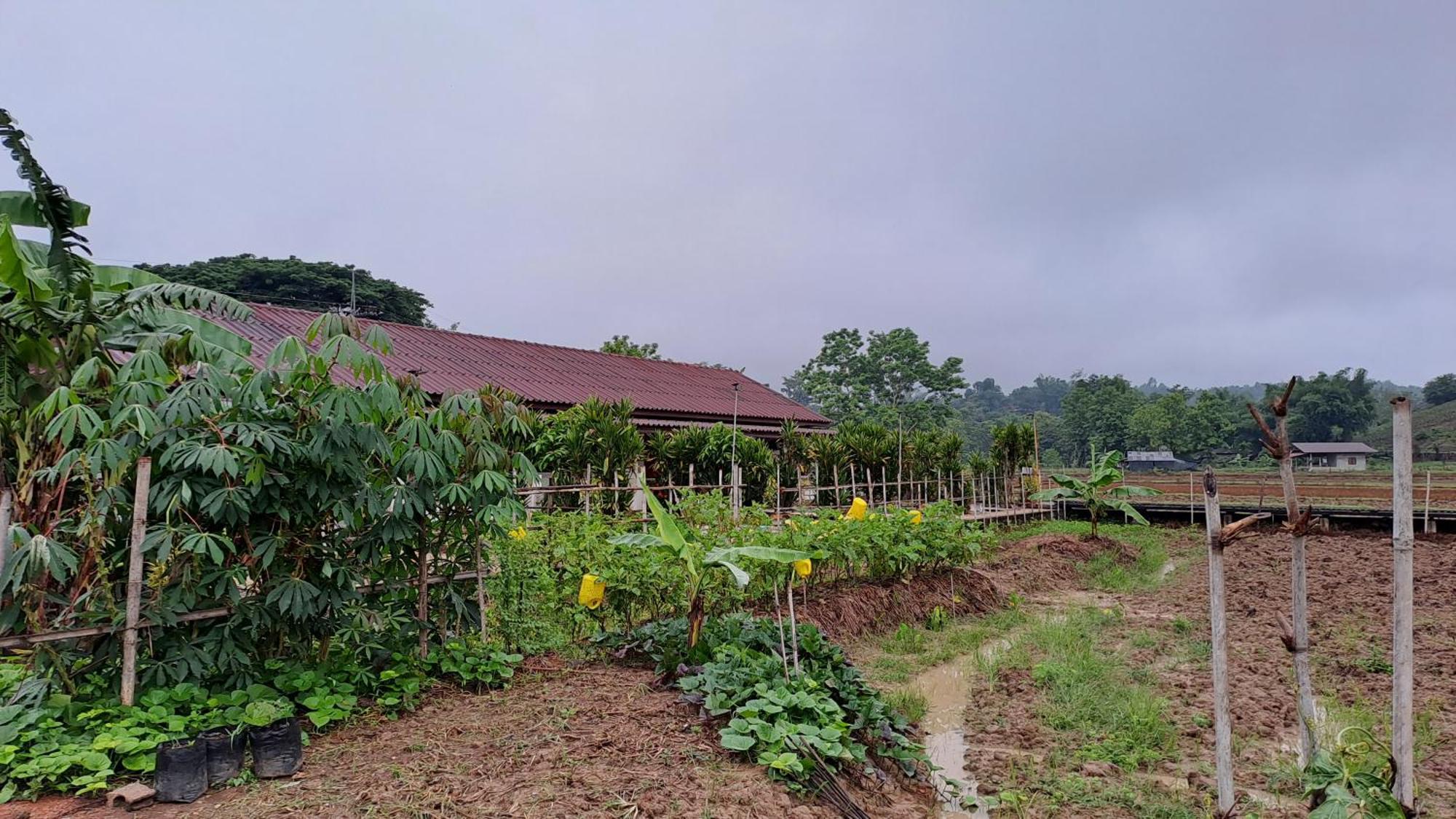Ban Lom Jen Homestay Chiang Rai Dış mekan fotoğraf