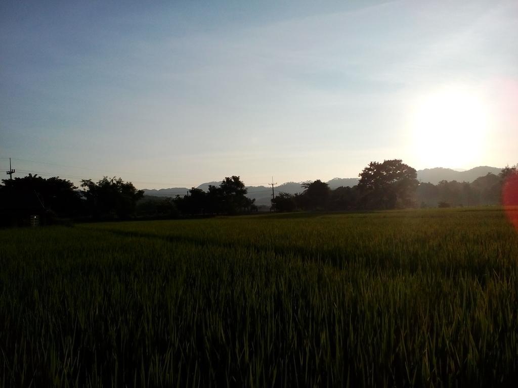 Ban Lom Jen Homestay Chiang Rai Dış mekan fotoğraf